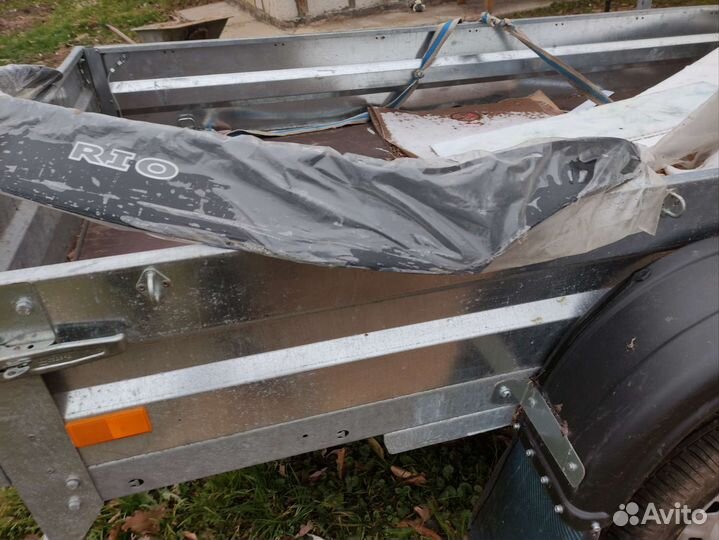 Мухоотбойник на кио рио 2