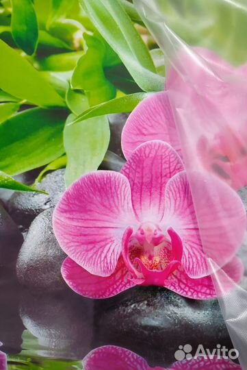 Фартук кухонный новый