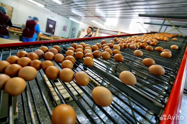 Подсобный рабочий