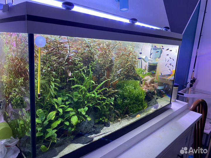 Аквариум 110 л копия Juwel Primo 110