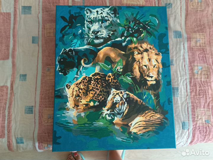 Подарок для всех случиях