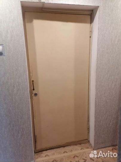 Двери входные