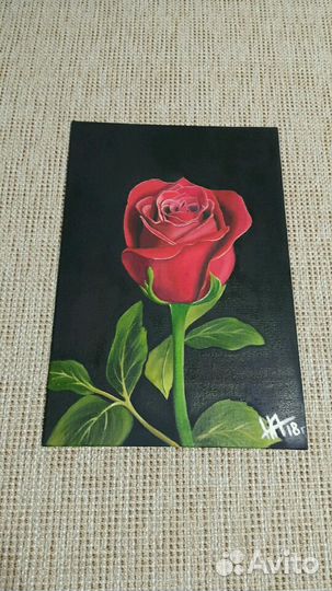 Картина маслом ''Роза красная''. Интерьерная
