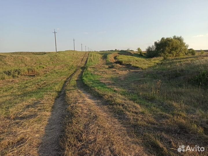 Грузчики (разнорабочие)