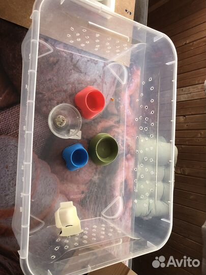 Клетка Дом для крысы хомяка шиншиллы грызунов