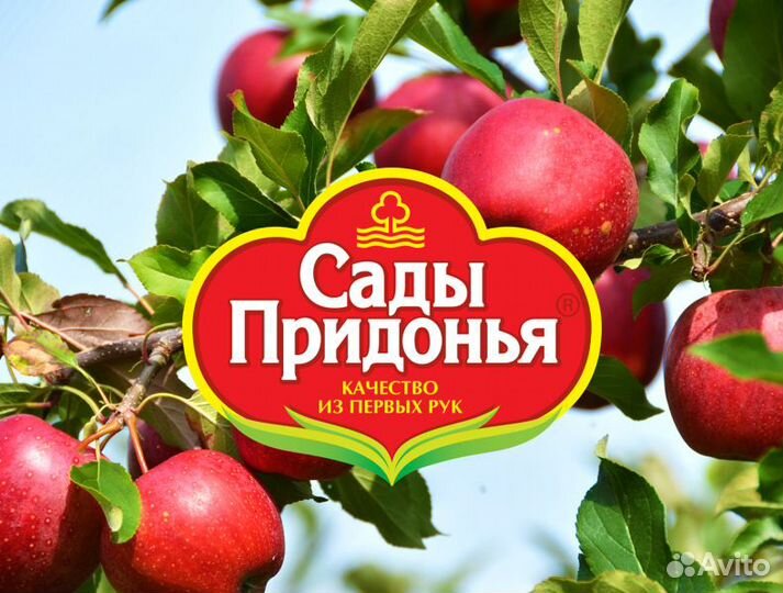 Грузчик-разнорабочий