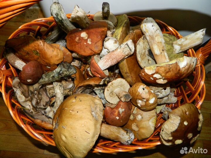 Корзины новые из лозы