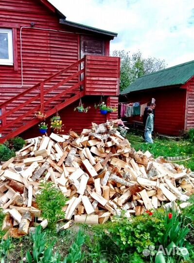 Дрова Березовые сухие с доставкой в Приозерск любо