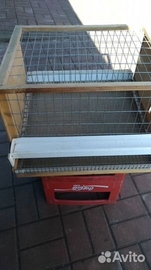 Клетки для перепелов бу