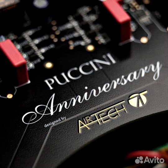 Интегральный усилитель Audio Analogue Puccini Anni