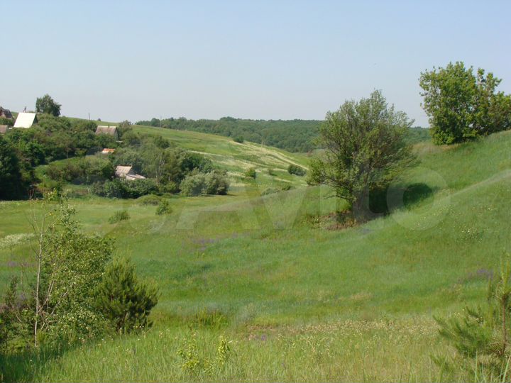 Участок 32 сот. (ИЖС)