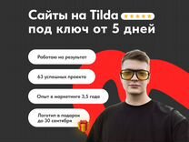 Создание сайта/Разработка сайта/Веб дизайнер/Tilda