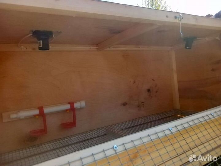 Брудер для цыплят