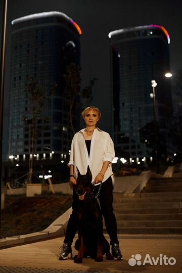 Фотосессия с доберманом