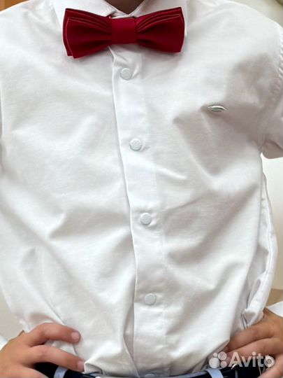 Бабочка галстук красная