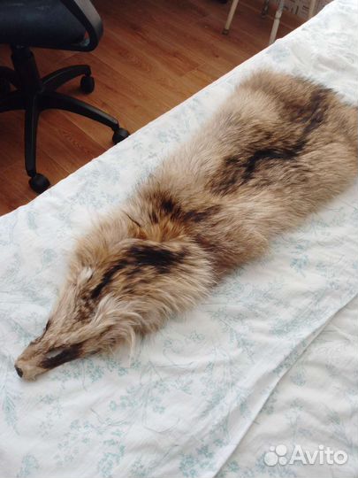 Шкурка животного