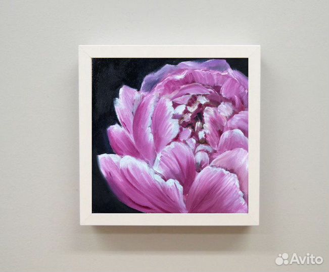 Пион миниатюра