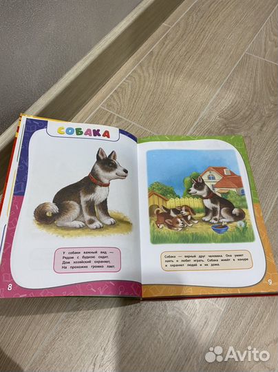 Годовой курс занятий 1-2 эксмо