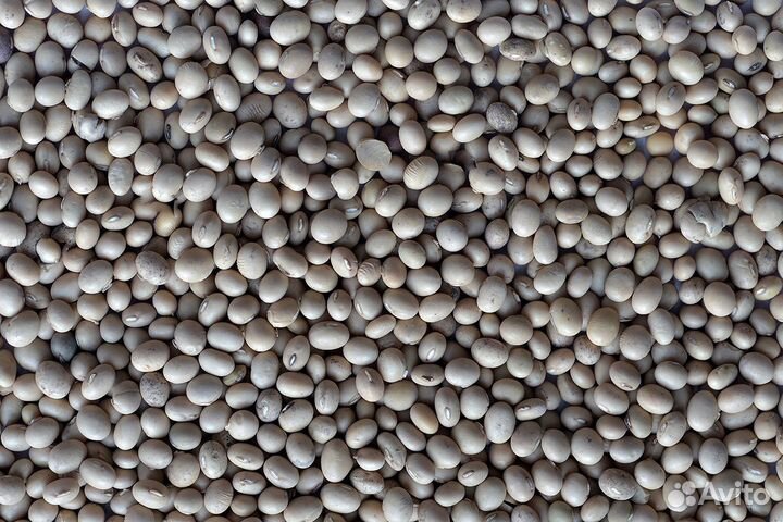 Зерно (пшеница, кукуруза, соя, горох, ячмень.)