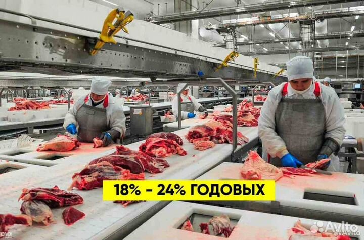 Ищу партнера в бизнес, доход 81 тр/мес