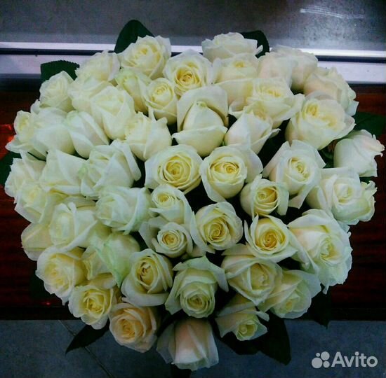 Цветы. Букет. 51 роза 50см. Доставка