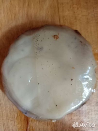 Чайный гриб