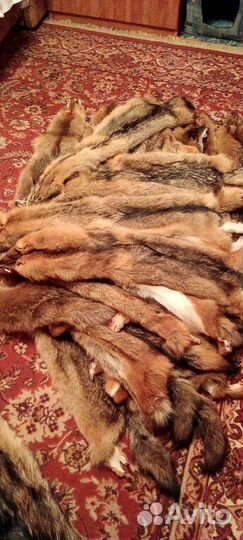 Шкуры степного волка