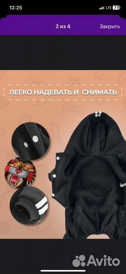 Одежла для маленьких пород