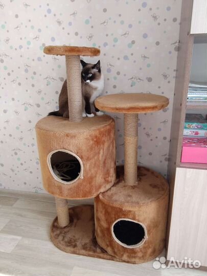 Домик когтеточка