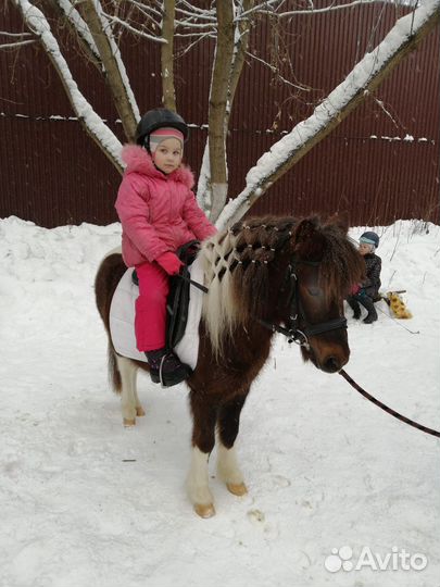 Конный клуб 