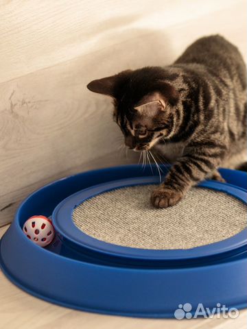 Игрушка когтеточка-трек для кошек