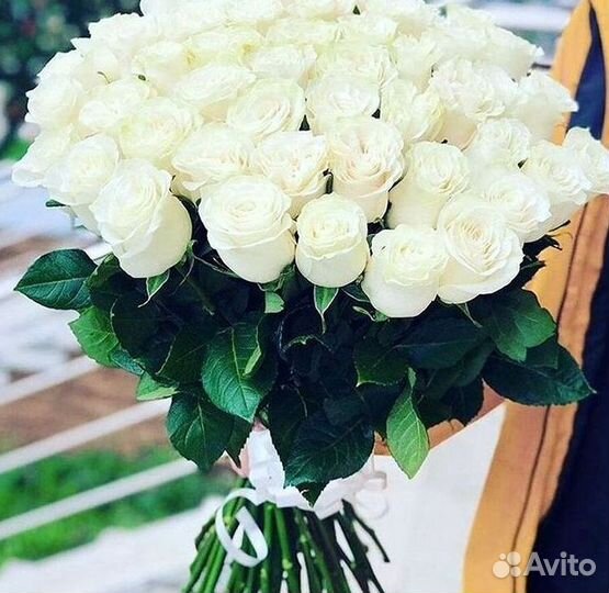 Высокие розы Гигантские розы Доставка цветов