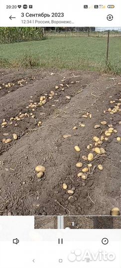 Продукты питания