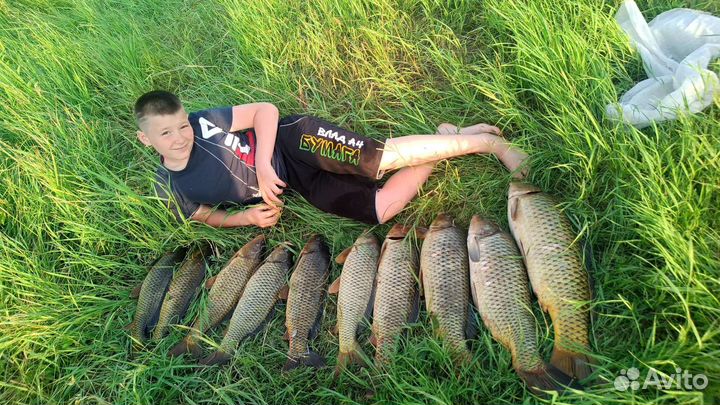 Снасти на сазана, макушатник