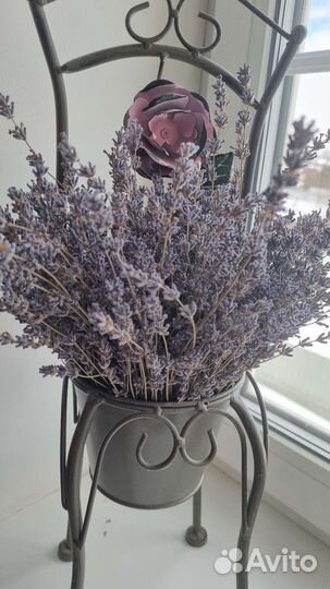 Лаванда сухоцвет