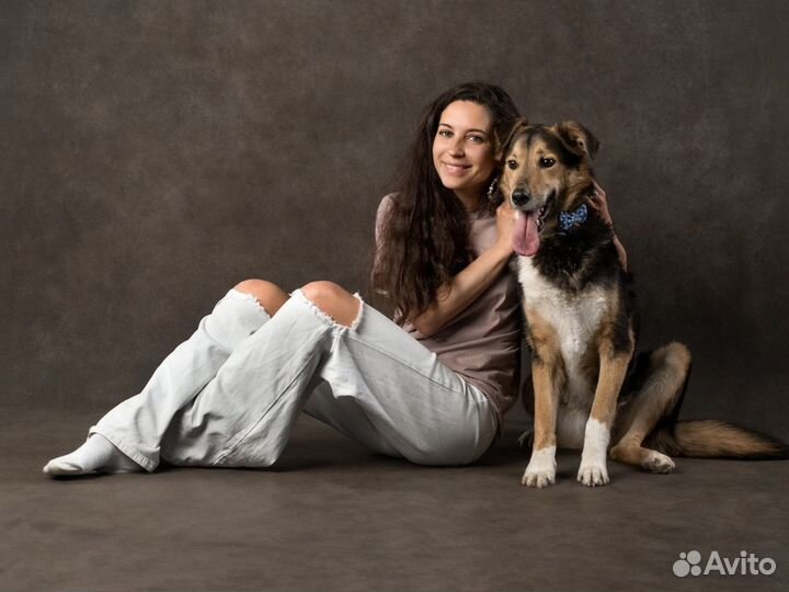 Собака Бонус