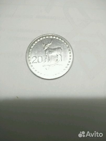 20 тетри, Грузия