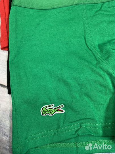 Трусы мужские боксеры хлопковые lacoste