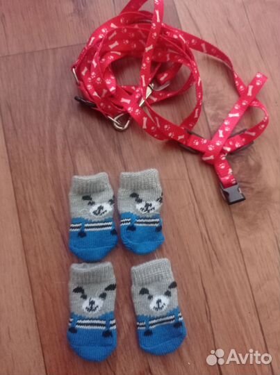 Носочки и шлейка