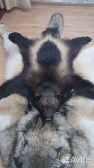 Коврик с Росомахи