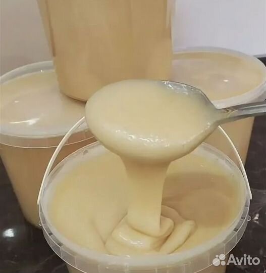 Мед донниковый