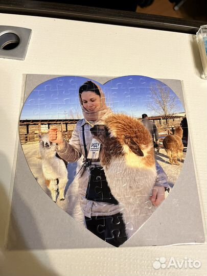 Принты на футболках и кружках