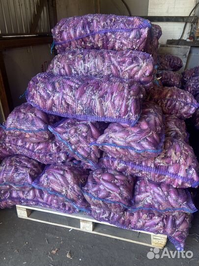 Лук на перо