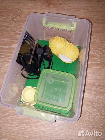 Комплект для содержания эублефара, термоковрики