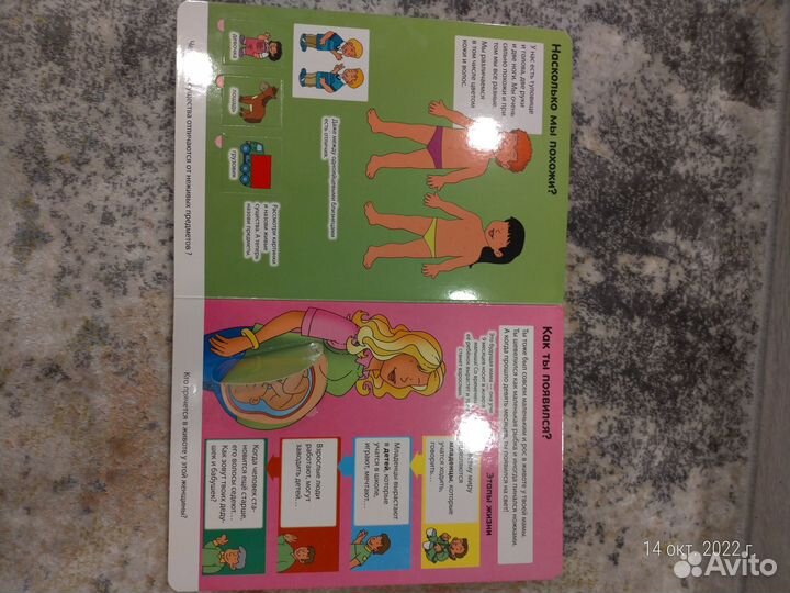 Энциклопедия. Тело человека. Книга с окошками