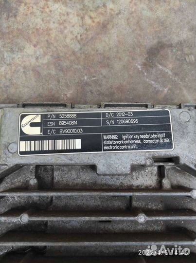 Эбу мозги Каммингс газель 2.8