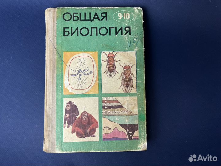 Общая биология 1977 г учебник