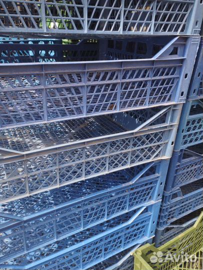 Пластиковые ящики бу