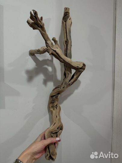 Коряги для аквариума, коряга