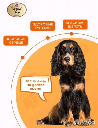 Корм для собак 10 кг